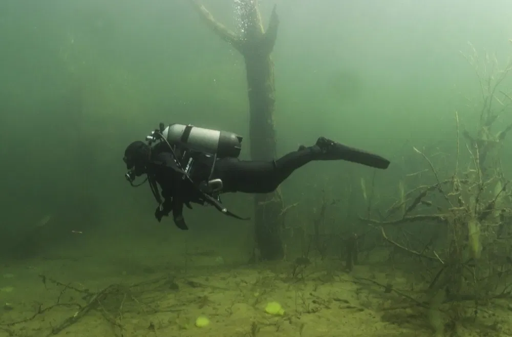 Пошук прикрас у прибережній зоні