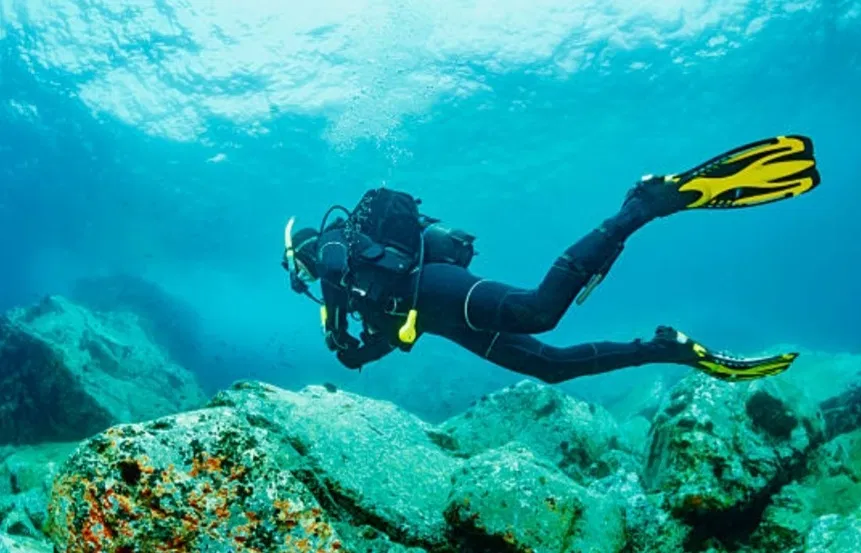 Очищення дна від латаття та очерету